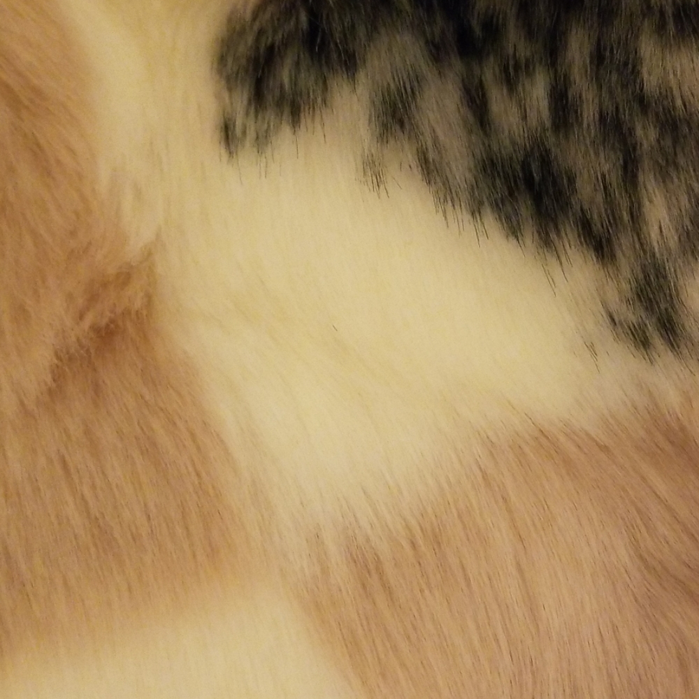 Checkered vest - Picture 6 of 8